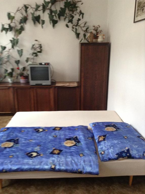 At Pension Ceske Budejovice Bilik gambar