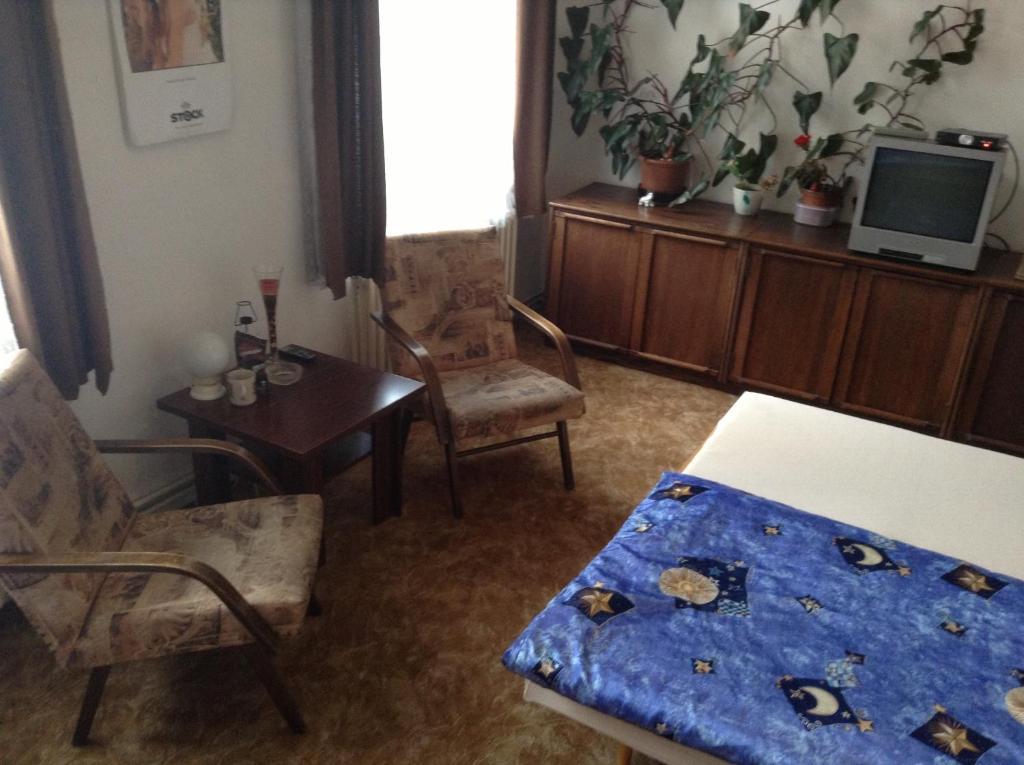 At Pension Ceske Budejovice Bilik gambar